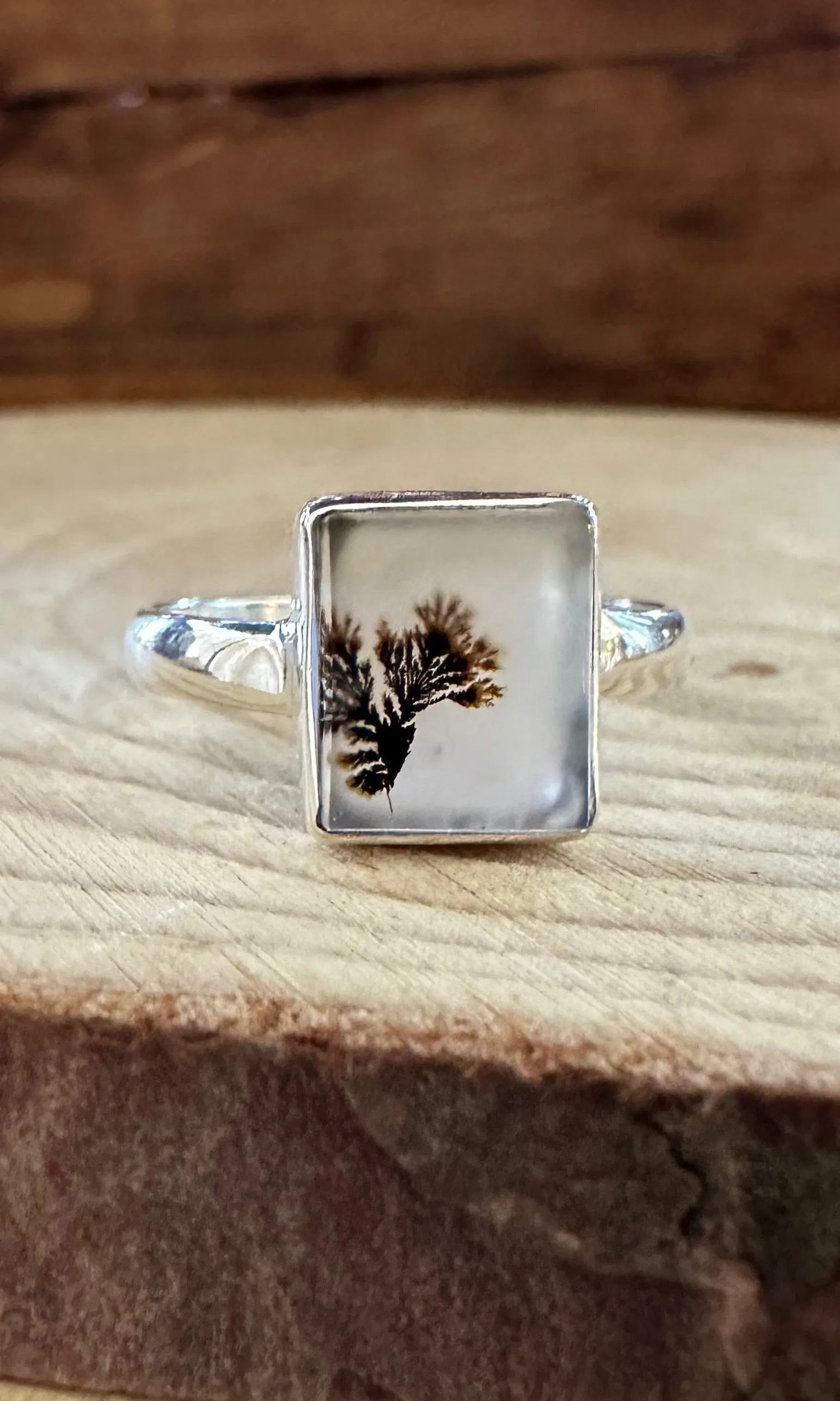 DENDRITIC AGATE and Silver Ring • Size 8